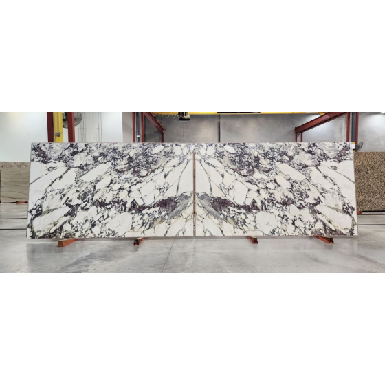 Breccia Capraia Premier Marble