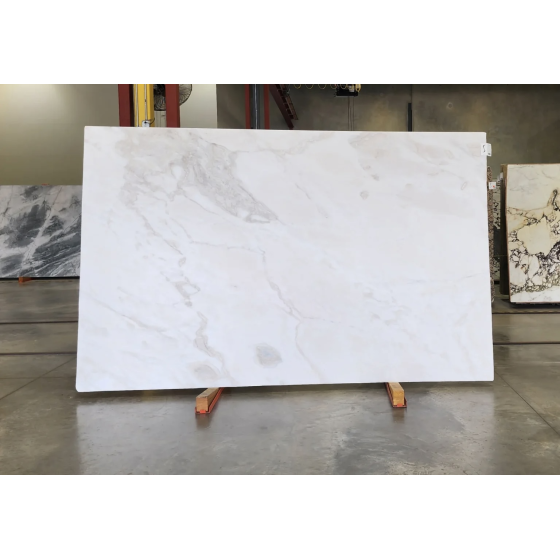 Calacatta Rhino Marble 