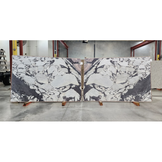 Calacatta Viola Classico Marble