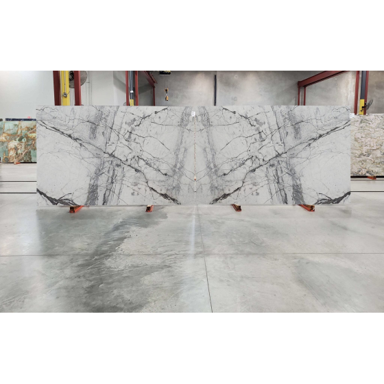 Statuario Silver