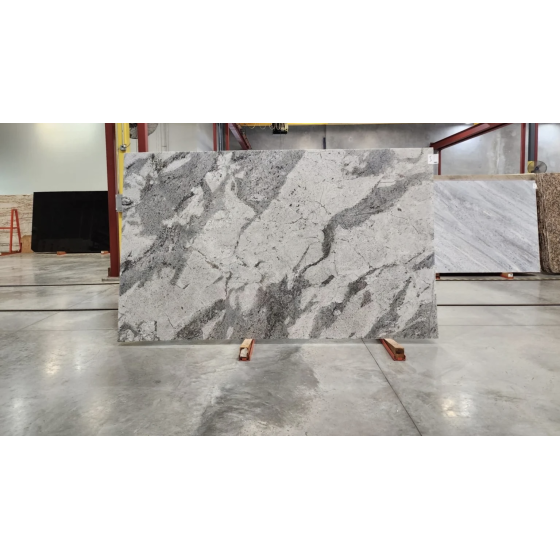 BEL GRIGIO POLISHED GRANITE 