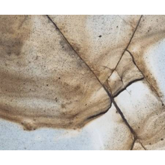 BLUE ROMA POLISHED QUARTZITE 
