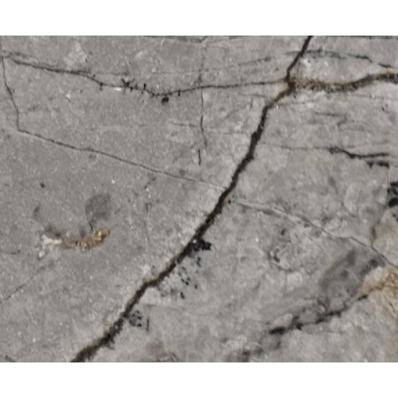 Silver Roots Honed Marble