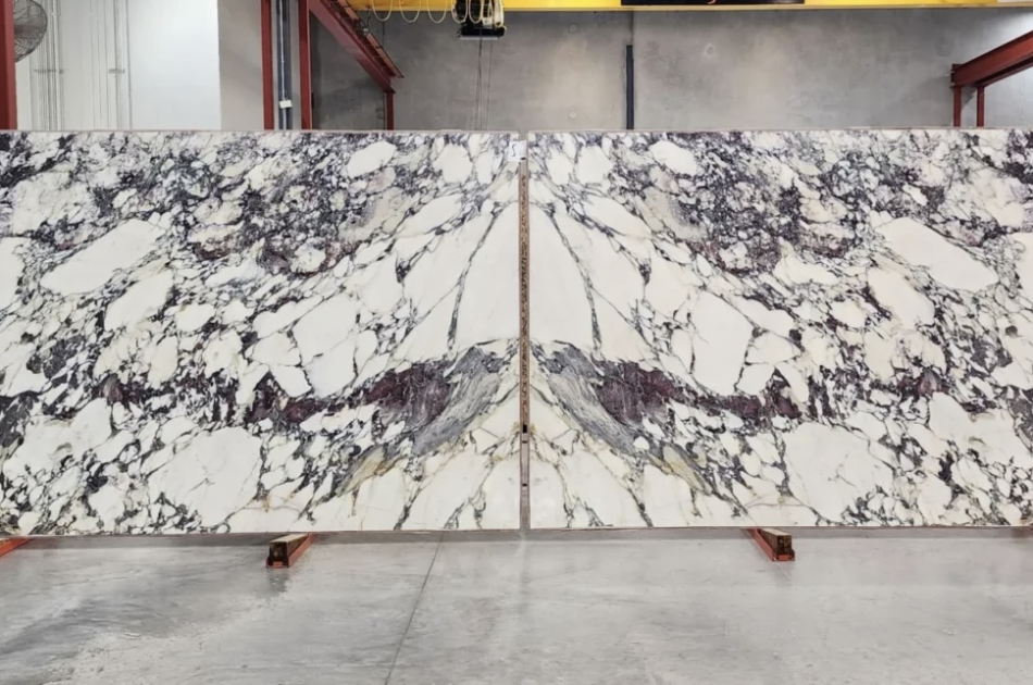 Breccia Capraia Premier Marble