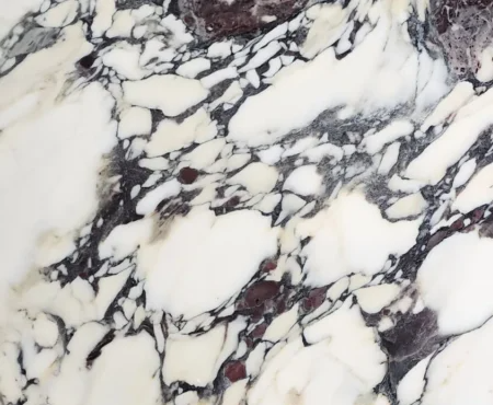 Breccia Capraia Premier Marble