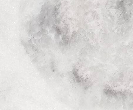 Aspen White Select