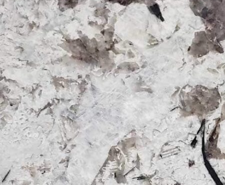VINTAGE SELECT POLISHED GRANITE 