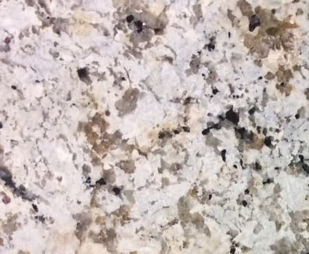 DELICATUS WHITE POLISHED GRANITE 