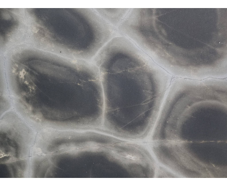 TORTUGA (LEATHERED) LEATHERED QUARTZITE 