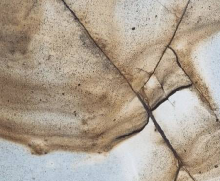 BLUE ROMA POLISHED QUARTZITE 