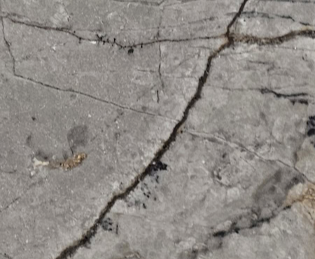 Silver Roots Honed Marble